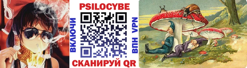 блэк спрут маркетплейс  Торжок  Галлюциногенные грибы MAGIC MUSHROOMS 