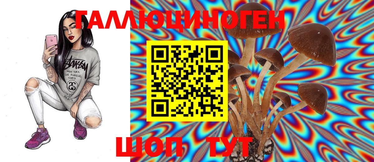 Галлюциногенные грибы MAGIC MUSHROOMS  Вход с VPN  Галлюциногенные грибы Magic Shrooms  Торжок 